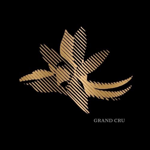 Double Vanilla Barrel-Aged Imperial Stout: Grand Cru (2025)