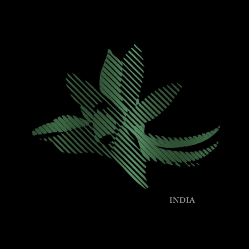 Double Vanilla Barrel-Aged Imperial Stout: India (2025)