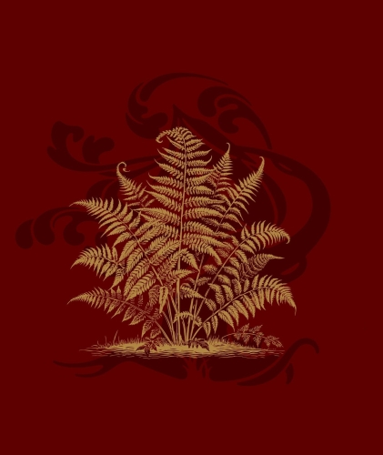 King Fern