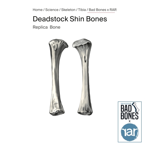 Deadstock Shin Bones