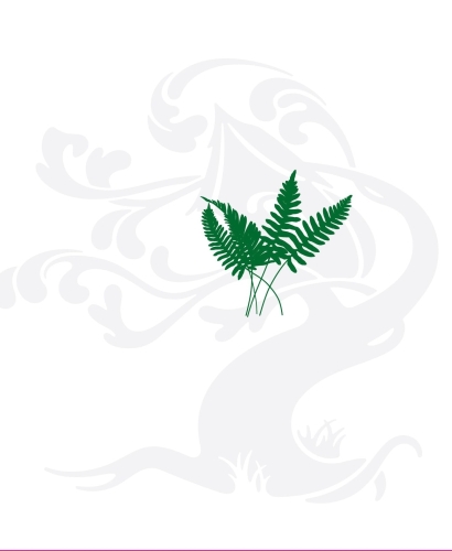 Boston Fern