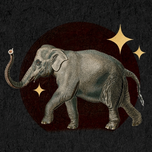 BA Black Tusk (2025)
